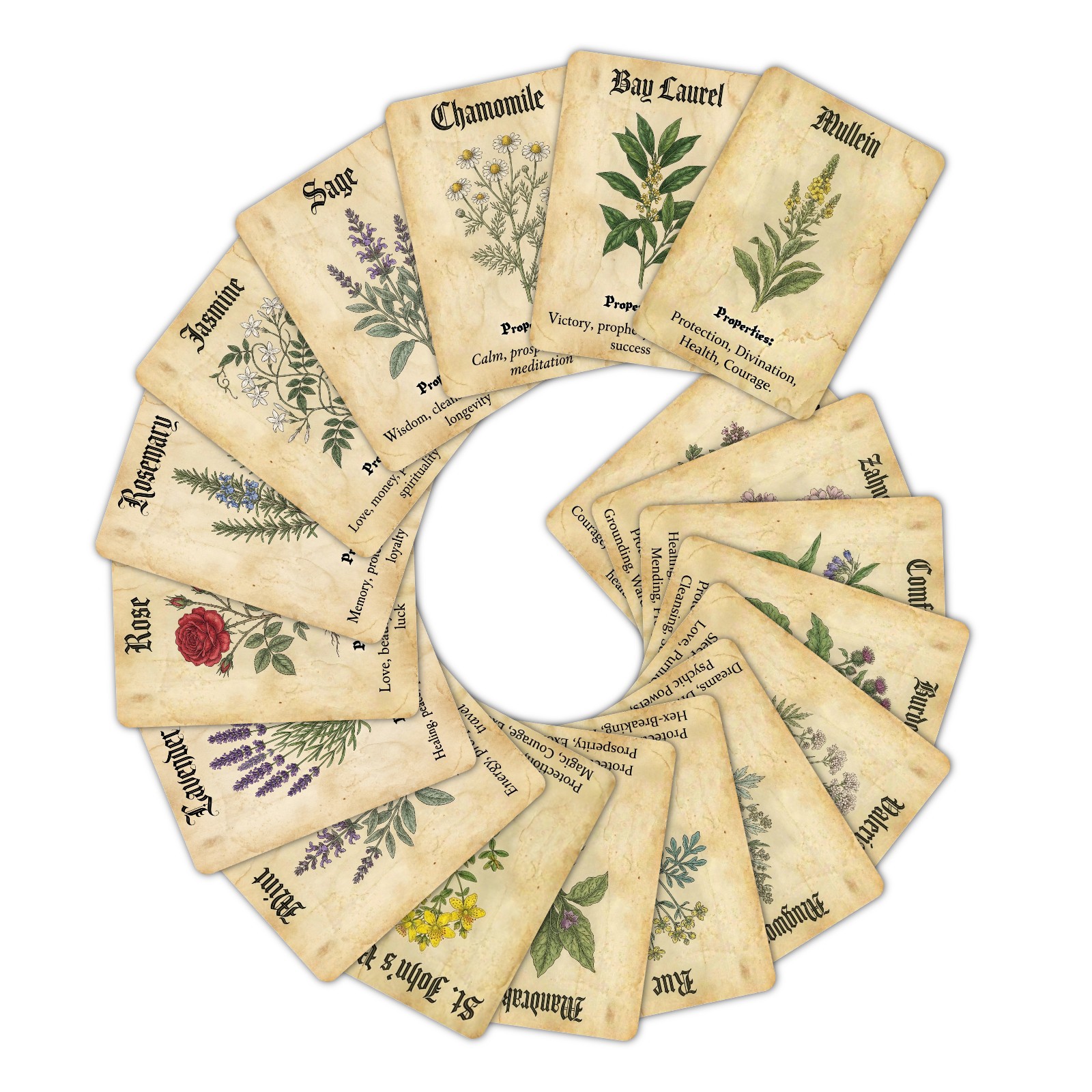 Cartes Décoratives Thème Plant - Vintage Collectible Cards avis et prix